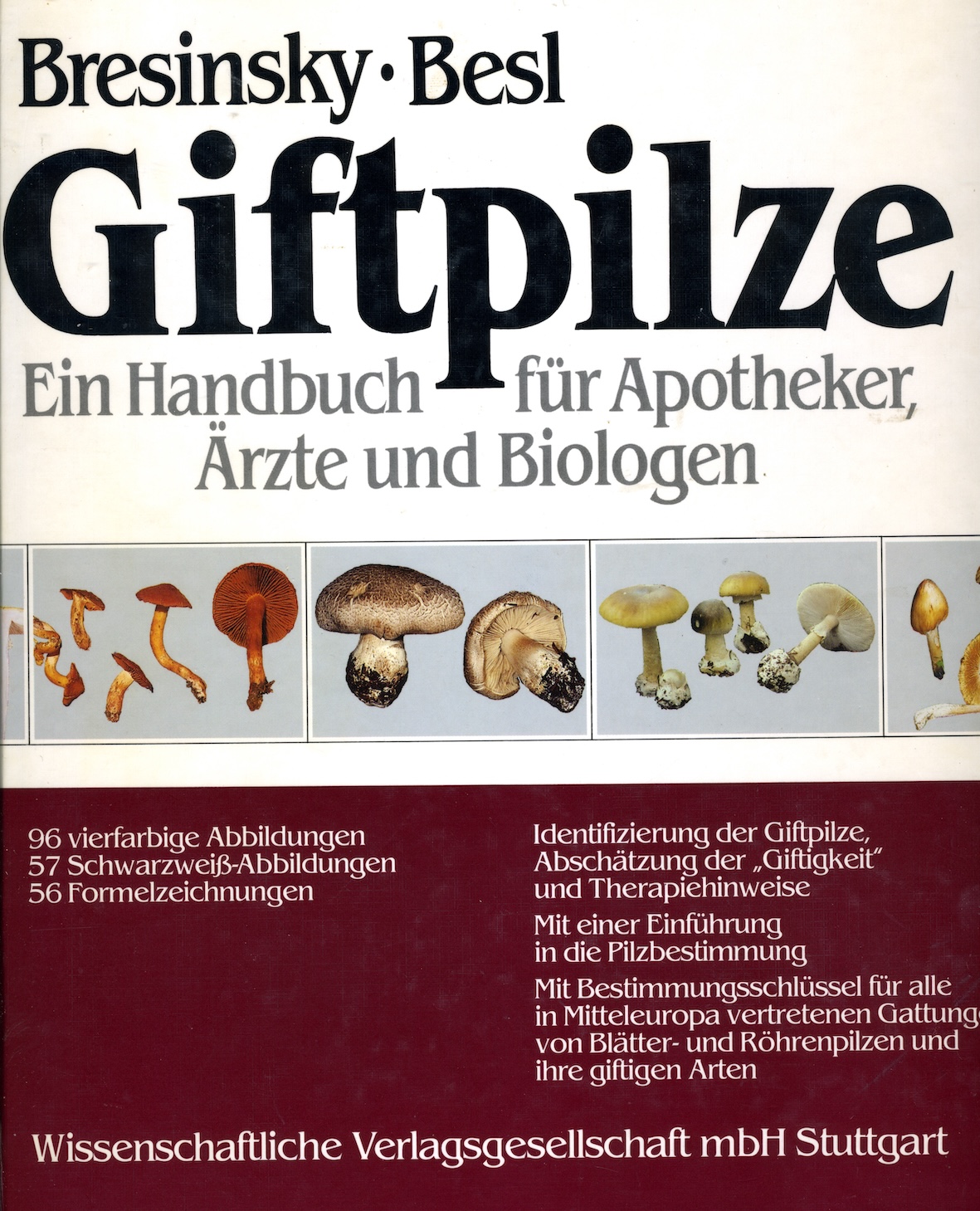 alt-text-1