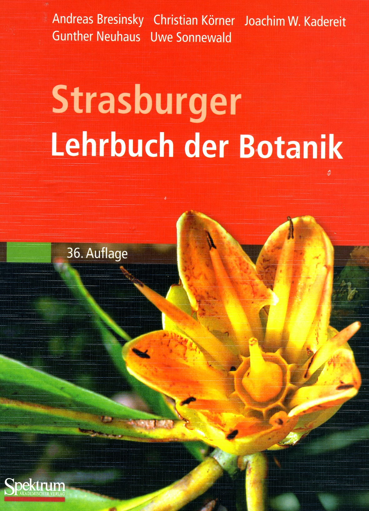 alt-text-2