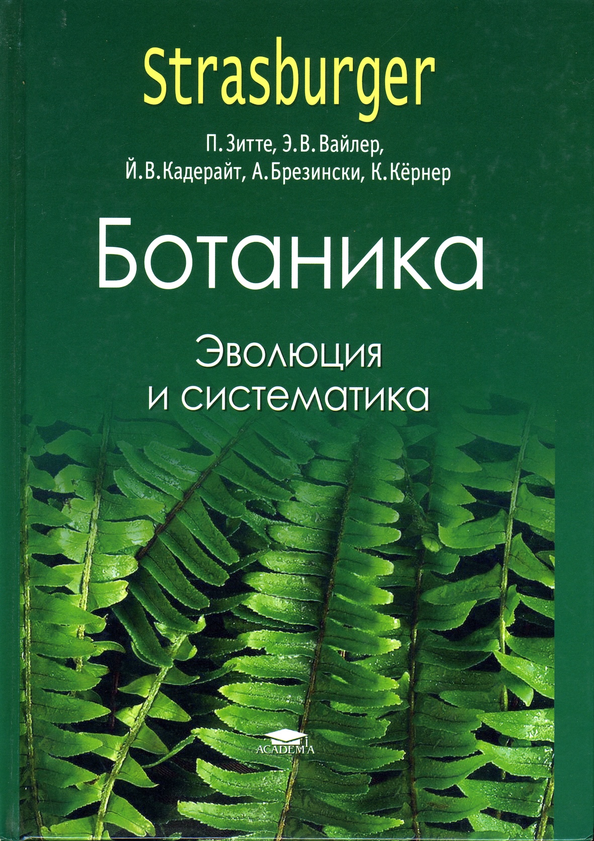 alt-text-2